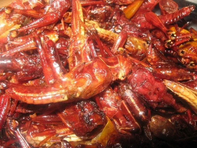 6 Sajian Kuliner Tak Biasa yang Bisa Kamu Cicipi Ketika Blusukan ke Jogja! 8