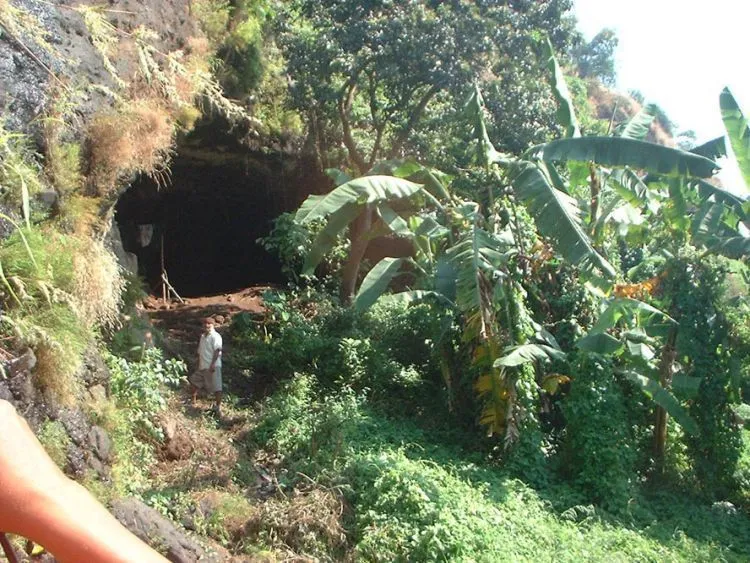 Daftar Destinasi Wisata di Jombang, Punya Kekayaan Alam yang Ciamik! 14