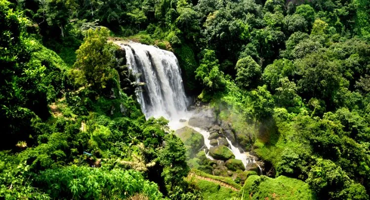 Destinasi Wisata di Kabupaten Kendal, Nggak Akan Bikin Menyesal Pengunjungnya 12