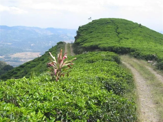 Destinasi Wisata di Kabupaten Kendal, Nggak Akan Bikin Menyesal Pengunjungnya 14