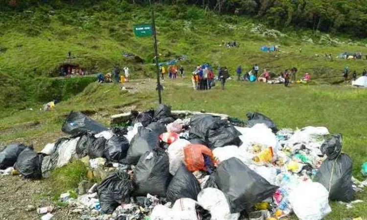 Kalau Memang Traveling Ada di Hatimu, Please Jangan Lagi Datang ke Pulau Sempu! 13