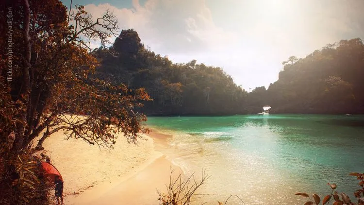 Kalau Memang Traveling Ada di Hatimu, Please Jangan Lagi Datang ke Pulau Sempu! 14
