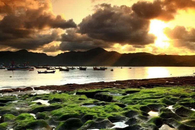 Destinasi Wisata Tulungagung, Sajikan Indahnya Pantai dan Candi 10