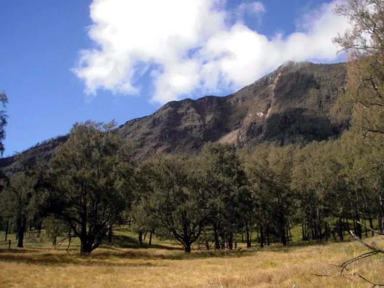 9 Gunung di Jawa Timur yang Paling Layak Dicumbui Kamu yang Hobi Mendaki 13