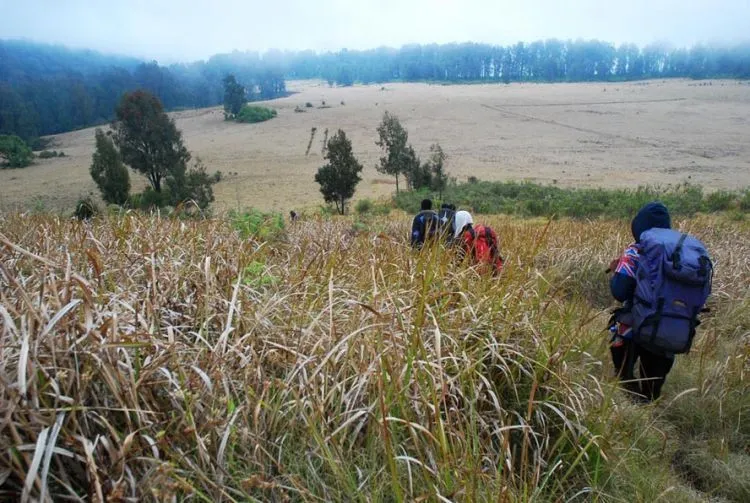 9 Gunung di Jawa Timur yang Paling Layak Dicumbui Kamu yang Hobi Mendaki 16