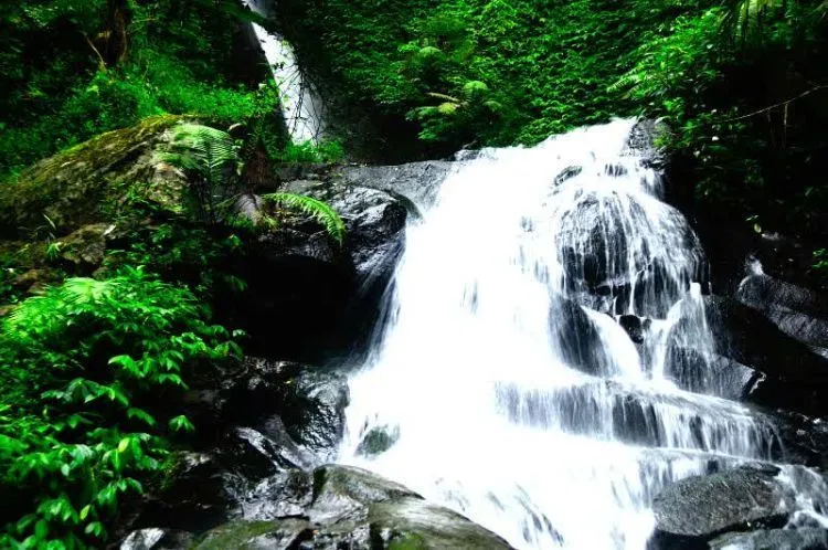 Destinasi Wisata Tulungagung, Sajikan Indahnya Pantai dan Candi 13