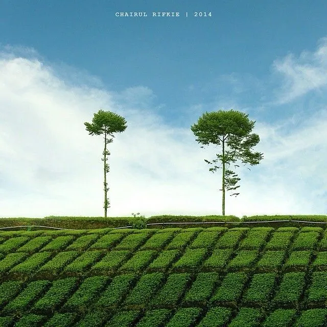 Tempat Instagrammable di Malang dan Sekitarnya yang Membuatmu Semakin Jatuh Cinta Dengan Kota Apel Ini 18