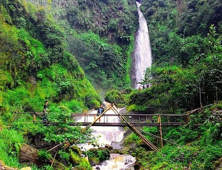 9 Destinasi Wisata Pekalongan, Pesonanya Bikin Nggak Mau Pulang 15