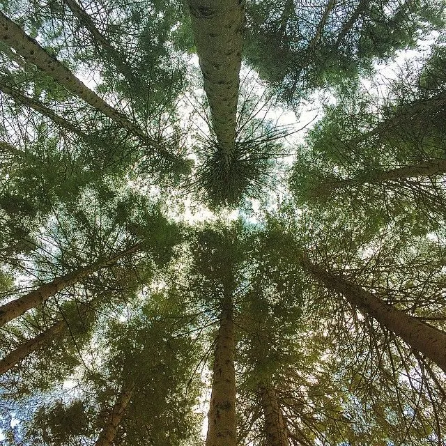 Walau Cuma Berbekal Kamera Smartphone, 10 Cara Ini Membuat Foto Travelingmu Tampil Apik di Instagram 13