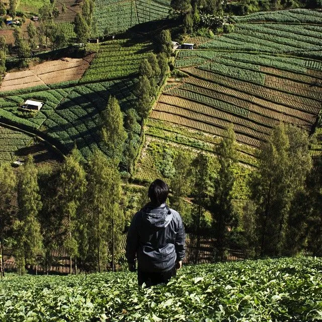 Tempat Instagrammable di Malang dan Sekitarnya yang Membuatmu Semakin Jatuh Cinta Dengan Kota Apel Ini 13