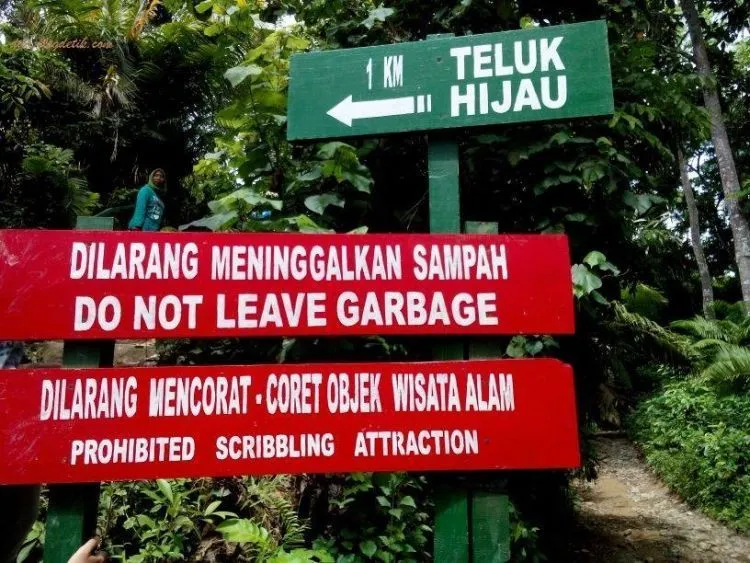 Menelanjangi Teluk Hijau, Pesona Pantai Tersembunyi yang Menjadi Maya Bay-nya Jawa Timur 9