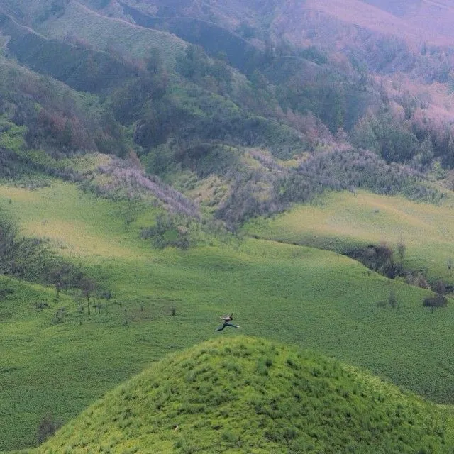 Tempat Instagrammable di Malang dan Sekitarnya yang Membuatmu Semakin Jatuh Cinta Dengan Kota Apel Ini 16