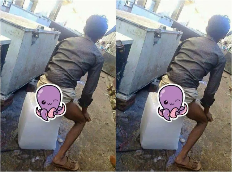 Sehabis Melihat Foto Ini, Mungkin Rasa Es Batu Tak Akan Lagi Sama 9