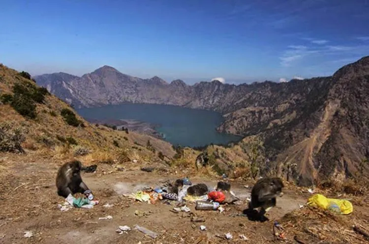 Sampah di Gunung Rinjani: Apakah Kita Akan Kehilangan Surga Karena Ulah Kita Sendiri? 8