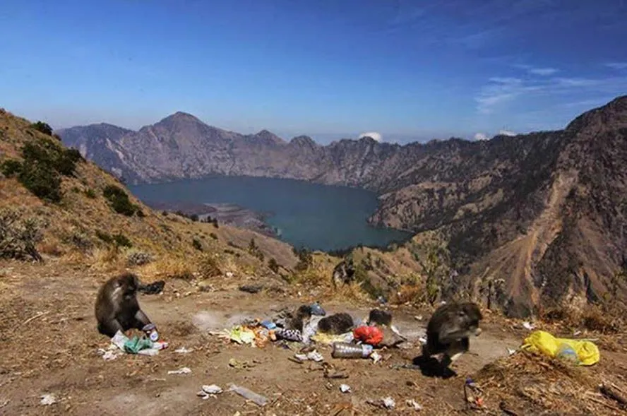 Sampah di Gunung Rinjani: Apakah Kita Akan Kehilangan Surga Karena Ulah Kita Sendiri?