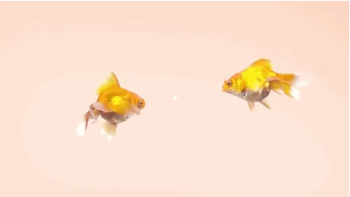 Taruh Jari Kamu di Layar dan Biarkan Video Ini Menyihir Kamu, Coba Aja Sendiri! 5