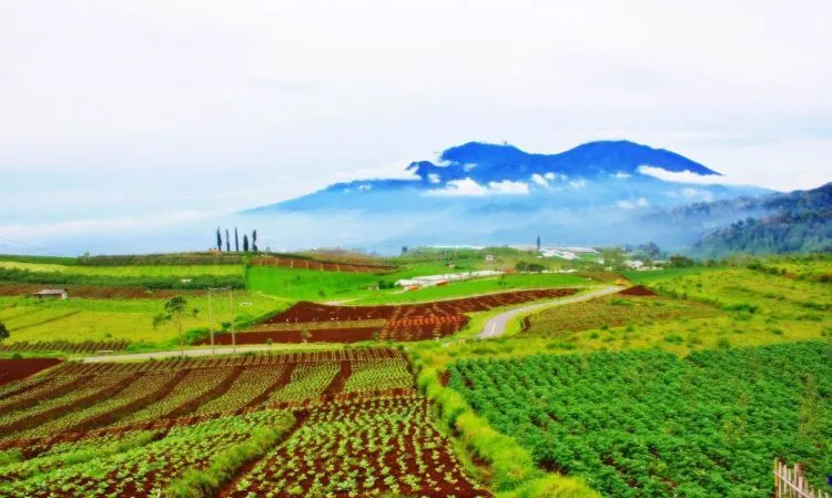 Berbagai Tempat Wisata di Blora yang Ampuh Membuat Kakimu Ingin Melangkah Ke Sana 10