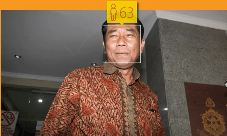 Berapa Usia Haji Lulung, Farhat Abbas dan Kawan-kawan Menurut #HowOldRobot ? 9