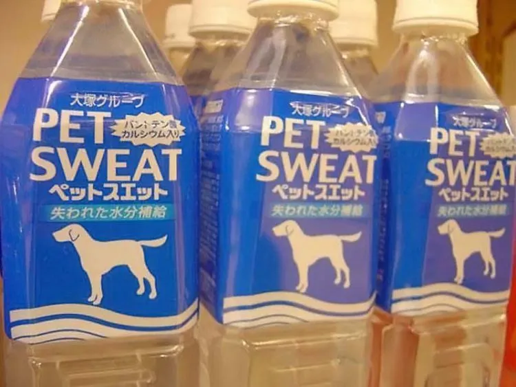 Ini Bahayanya Kalau Kamu Meremehkan Bahasa Inggris: 18 ENGRISH yang FAIL abis! 30
