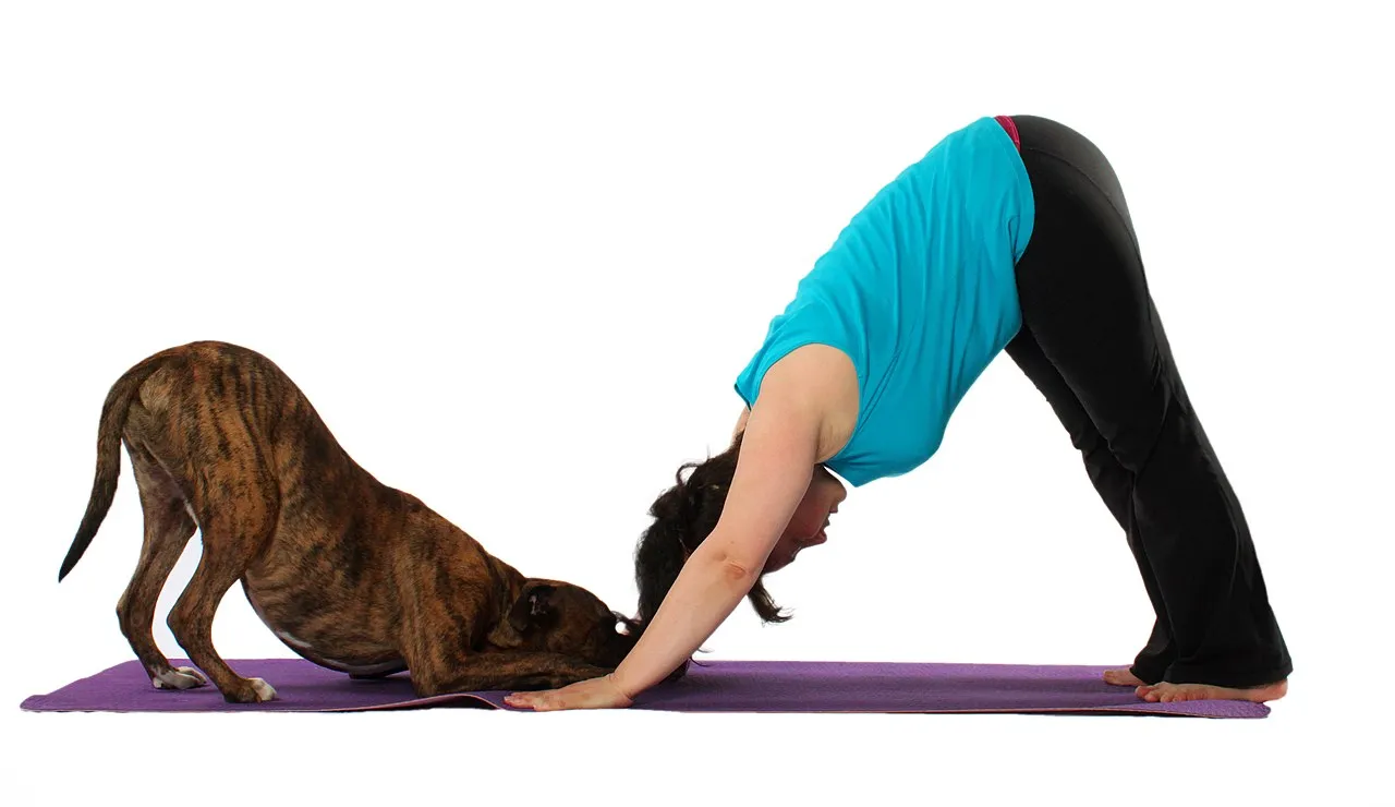 8 Gaya Yoga yang Ampuh Menghalau Bahaya Kesehatan Buatmu yang Duduk Terlalu Lama 10