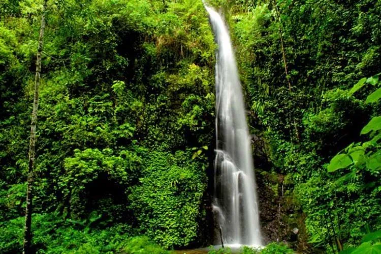 Destinasi Wisata Madiun, Kota Gadis yang Punya Daya Tarik Tersendiri 13