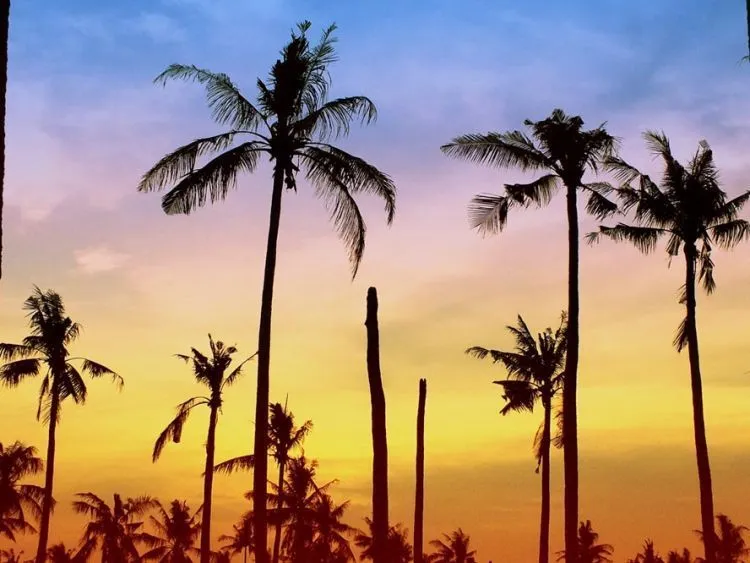 9 Destinasi Wisata Pekalongan, Pesonanya Bikin Nggak Mau Pulang 13