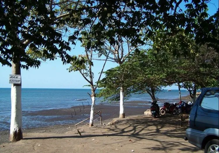 7 Tempat Wisata di Situbondo yang Wajib Diexplore 9