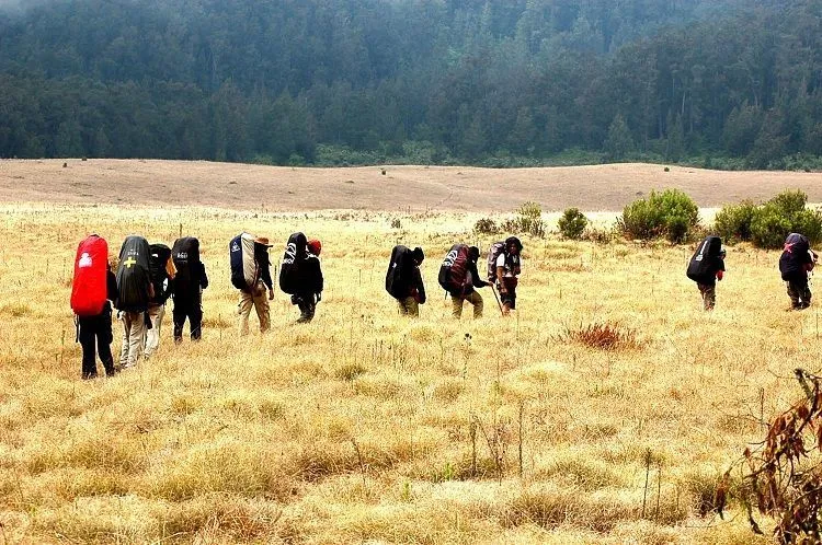 7 Tempat Wisata di Situbondo yang Wajib Diexplore 13