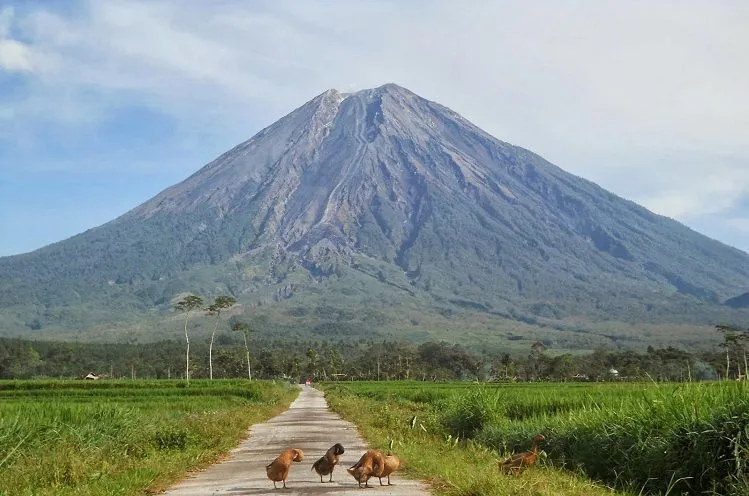 Wahai Petualang, Segeralah Mengangkat Keril. 9 Gunung Ibu Pertiwi Ini Sudah Memanggil 15
