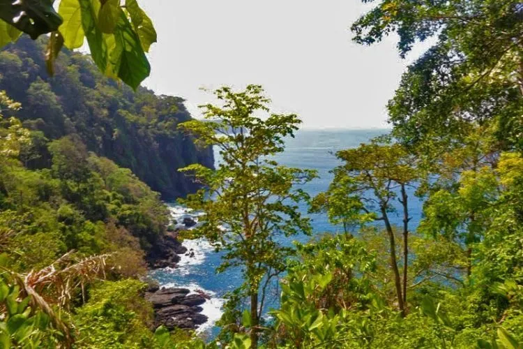 Menelanjangi Teluk Hijau, Pesona Pantai Tersembunyi yang Menjadi Maya Bay-nya Jawa Timur 11