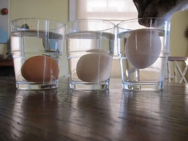 7 Trik Jenius yang Wajib Kamu Tahu Agar Urusan Masak Telur Jadi Lebih Mudah dan Menyenangkan 14