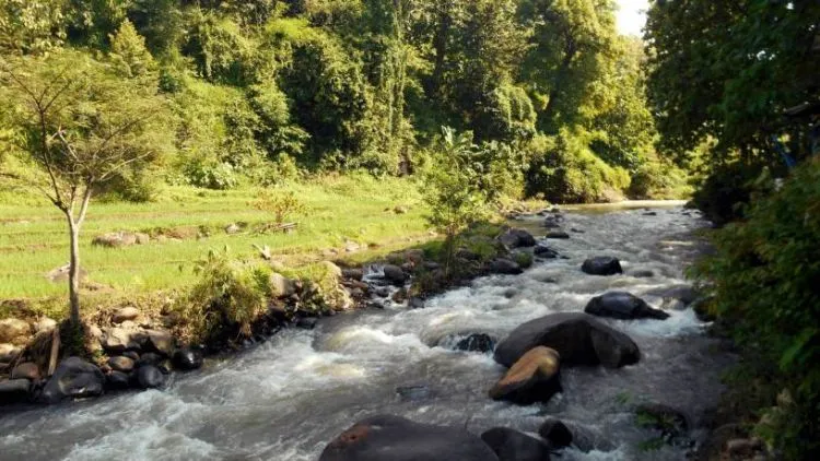 Destinasi Wisata Madiun, Kota Gadis yang Punya Daya Tarik Tersendiri 15