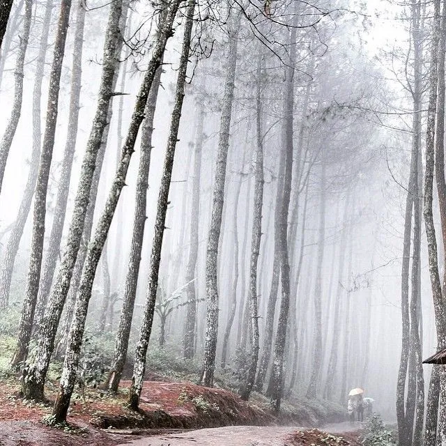 10 Destinasi Instagrammable di Bandung dan Sekitarnya yang Bikin Kota Kembang Ada di Hati Selamanya 19