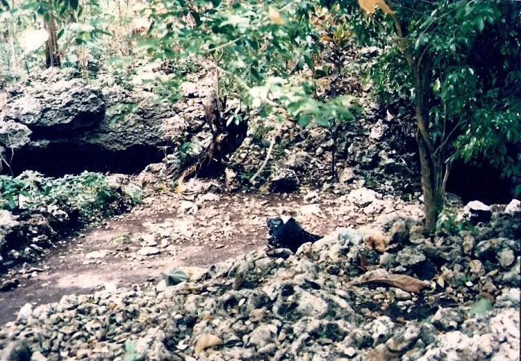 10 Destinasi Wisata Pemalang, Coba Rasakan Keindahan di Kota Ikhlas 18