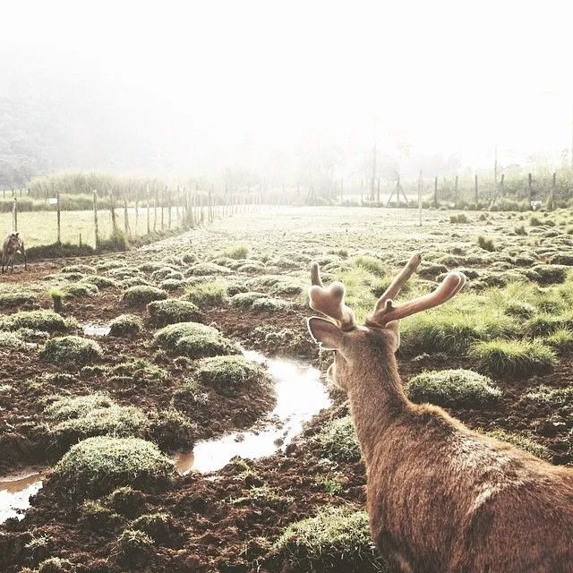 10 Destinasi Instagrammable di Bandung dan Sekitarnya yang Bikin Kota Kembang Ada di Hati Selamanya 18