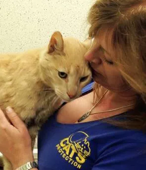 Kisah Kucing Misterius yang Hilang di Australia dan Ditemukan di Irlandia Utara! 13