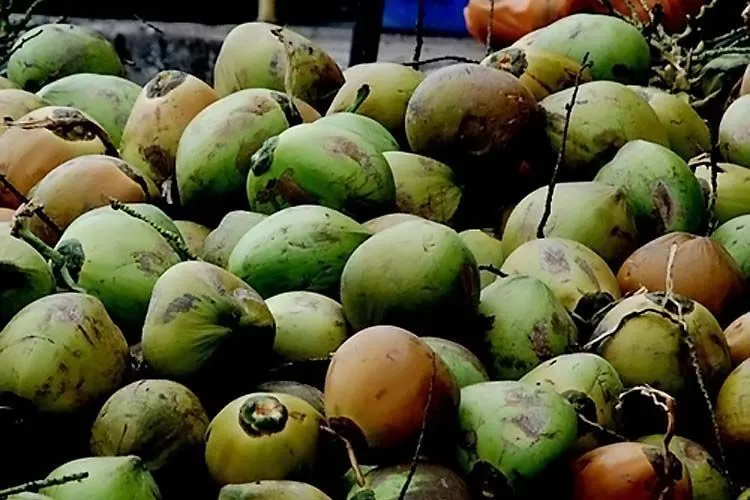 13 Hal yang Biasanya Sering Kamu Sepelekan Ini Bakal Tampak Istimewa di Bulan Puasa 18