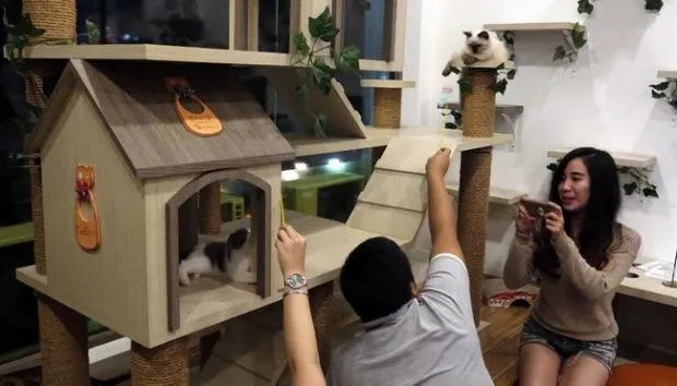 Beragam Gaya Pacaran Anak Muda Kekinian yang Bisa Kamu Tiru (...Atau Nggak) 9