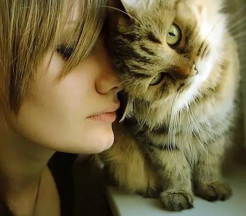 6 Alasan Mengapa Kucing Adalah Hewan Peliharaan yang Bisa Selalu Membuatmu Bahagia 11