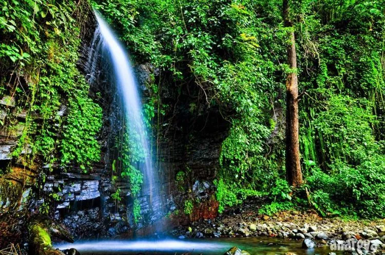 10 Destinasi Wisata Pati, Nggak Kalah Menarik dengan Kota Lain di Jateng 15