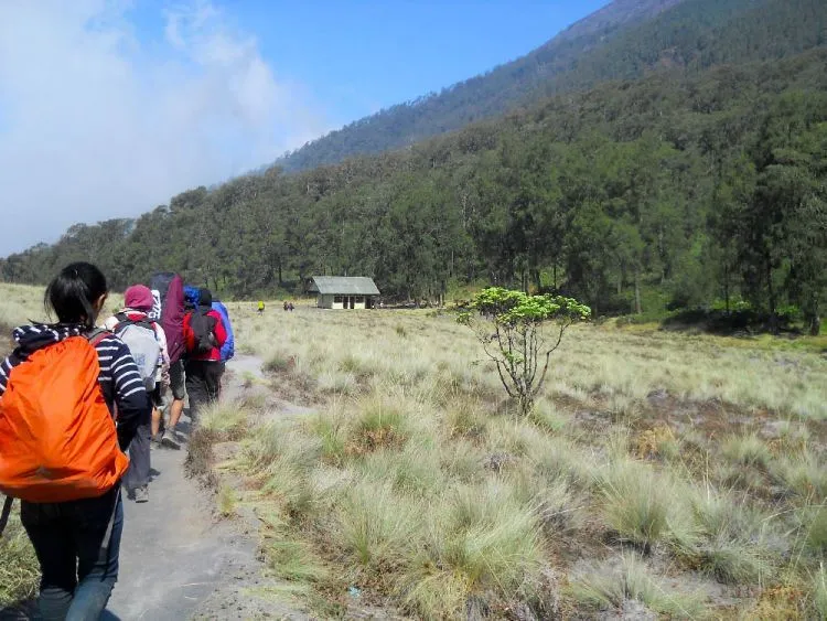 Panduan Tuntas Mendaki Sampai Mahameru, Puncak Abadi Para Dewa 19