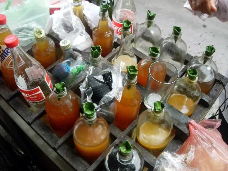 Nggak Hanya Untuk Orang Tua, Manfaat Dari 6 Jamu Ini Juga Perlu Dirasakan Anak Muda 10