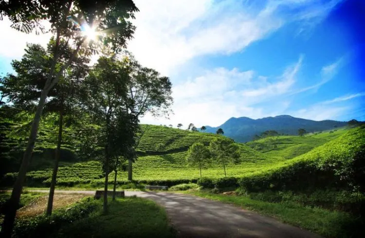 Destinasi Wisata Ambarawa, Keindahannya Dijamin Bikin Betah 11
