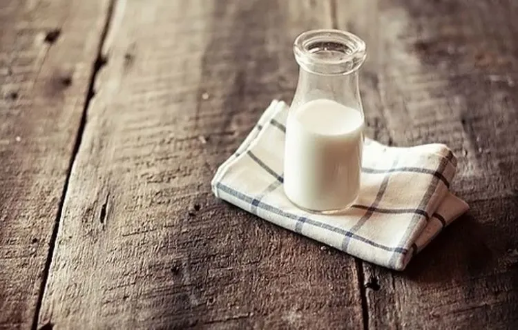 9 Bahan Alami Ini Punya Khasiat Mujarab yang Membuat Wajahmu Selalu Oil-Free 14