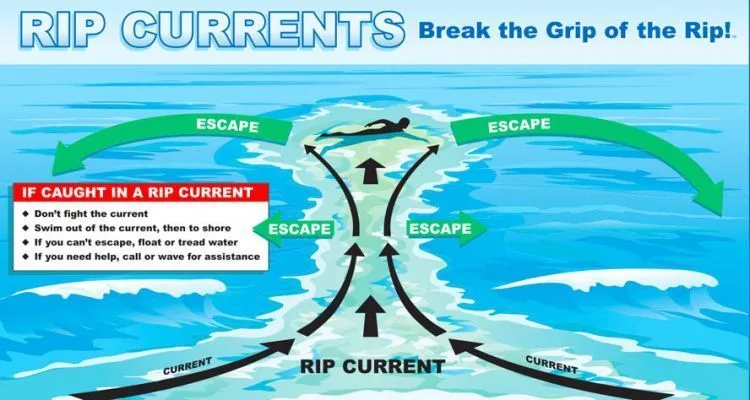 Rip Current Atau Arus Pecah Bisa Menyeretmu Dari Pantai ke Tengah Laut. Inilah Cara Untuk Selamat Darinya! 10