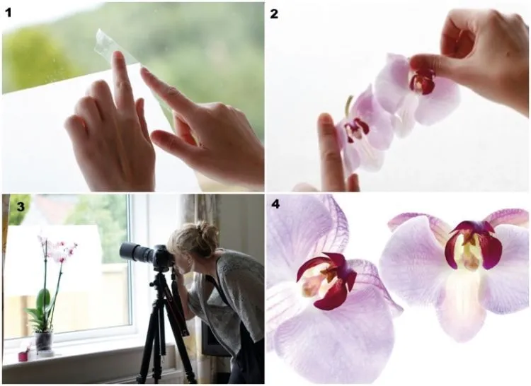 6 Trik Mudah yang Bisa Kamu Terapkan. Biar Hasil Fotomu Sekeren Jepretan Fotografer Profesional 12