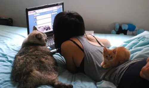 Hal-hal Unik yang Kamu Rasakan Ketika Pacaran Sama Pecinta Kucing 10