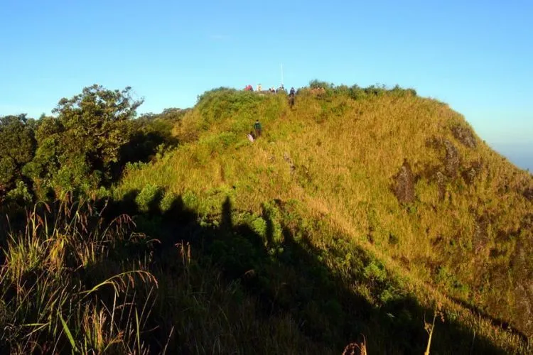 Sebelum Menjamahi Puncak-puncak Tertinggi, Tantang Dulu Dirimu Lewat 14 Gunung Ramah Daki Ini 27