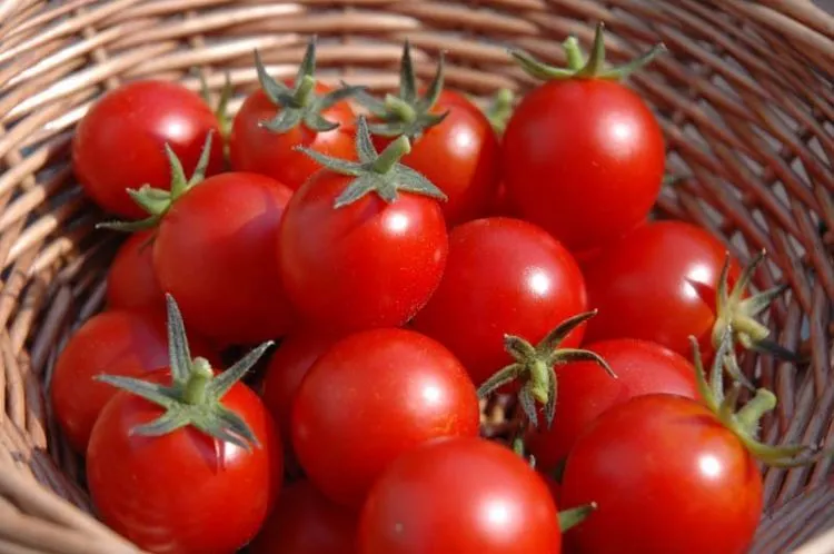 9 Bahan Alami Ini Punya Khasiat Mujarab yang Membuat Wajahmu Selalu Oil-Free 11