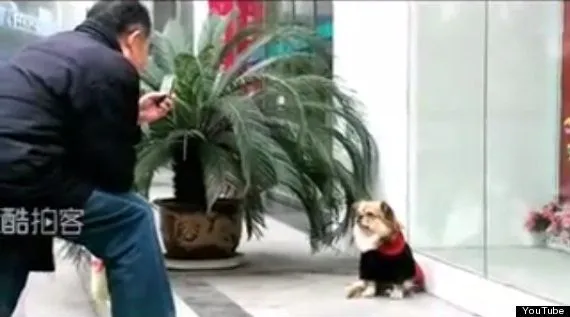 20 Kisah Nyata Ini Akan Meyakinkan Kamu Bahwa Anjing Memang Teman yang Setia 43